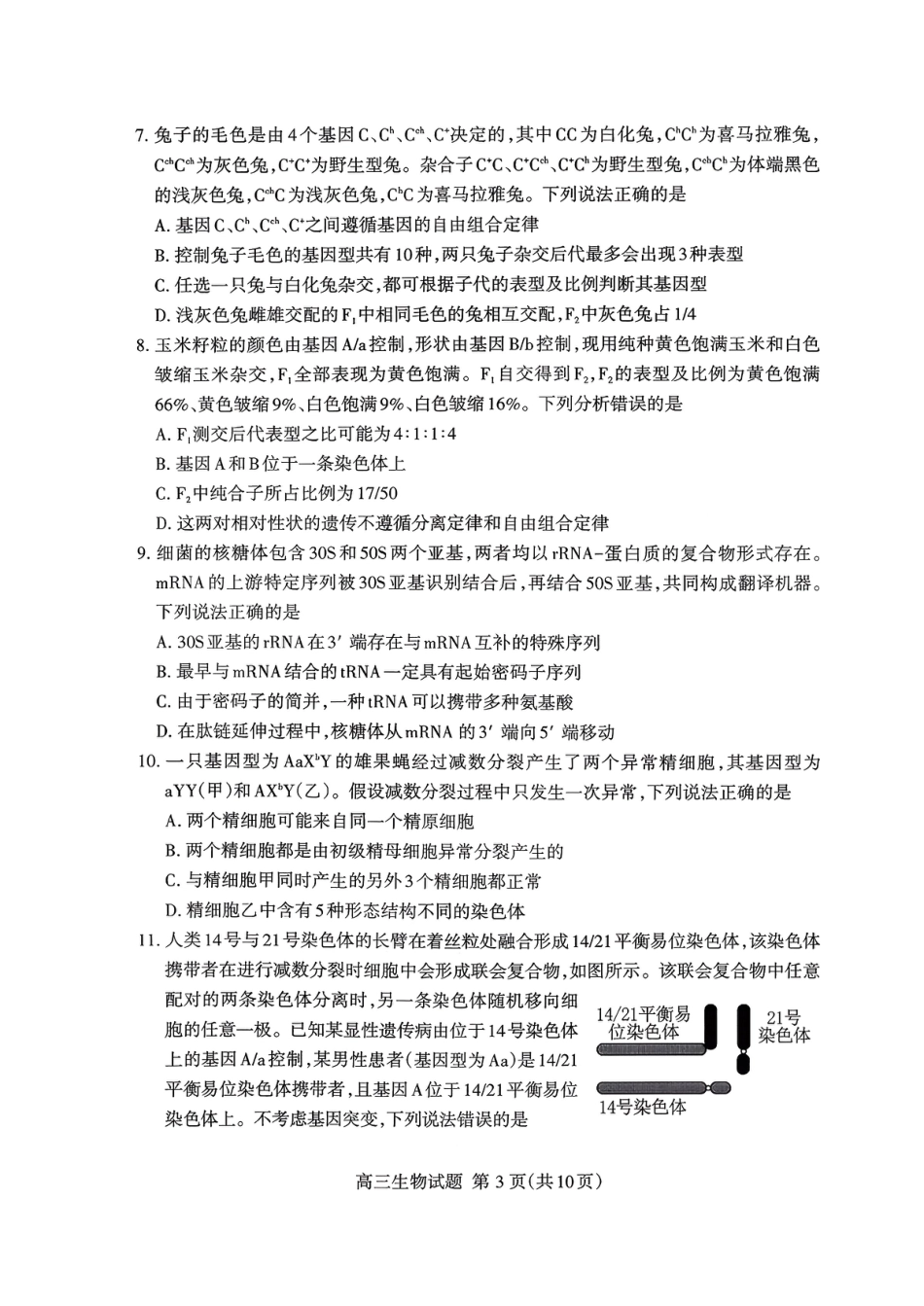 山东省泰安市2026届高三上学期期中考试生物.pdf_第3页