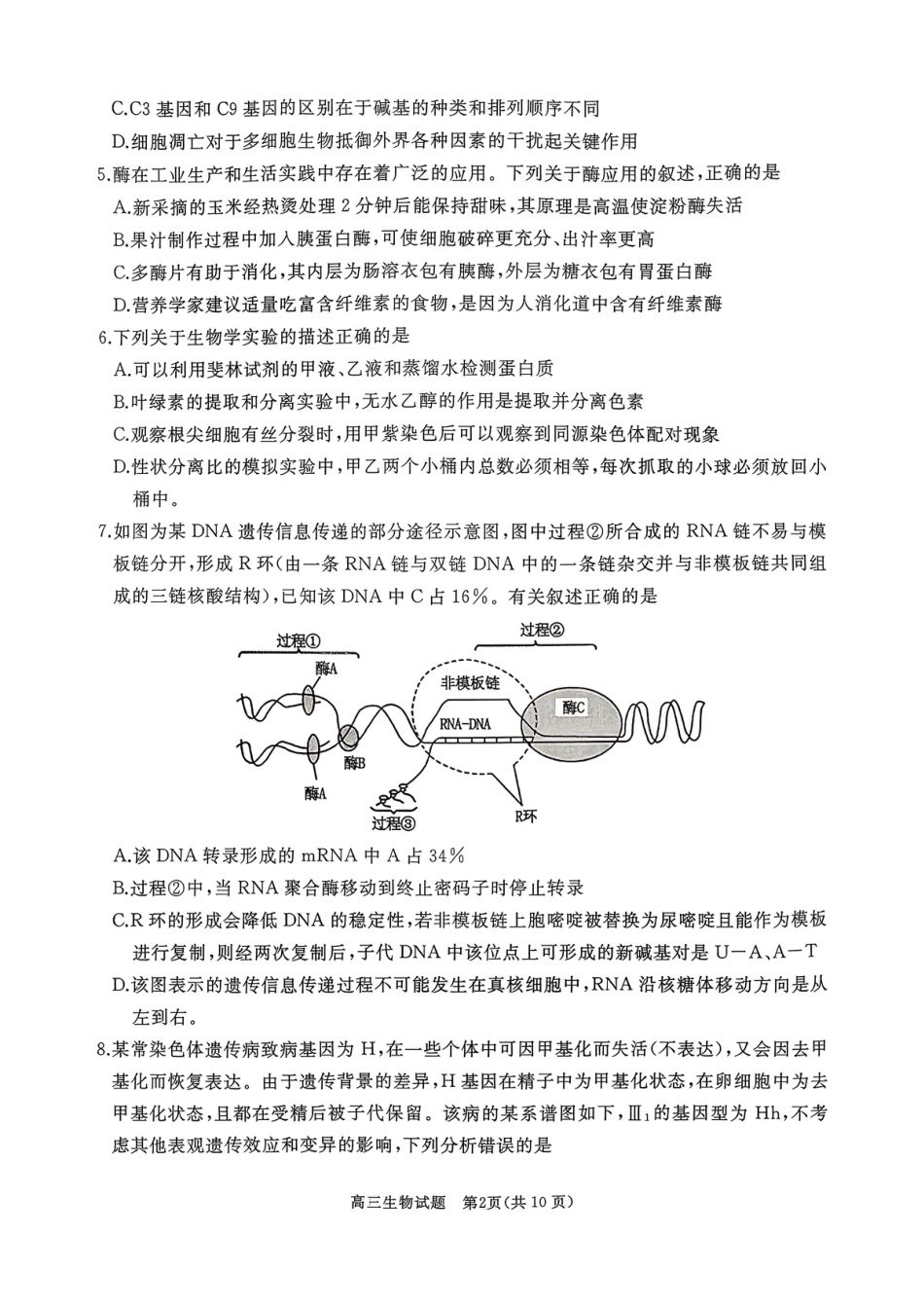 山东省枣庄市滕州市2025-2026学年高三上学期11月期中生物试题.pdf_第2页