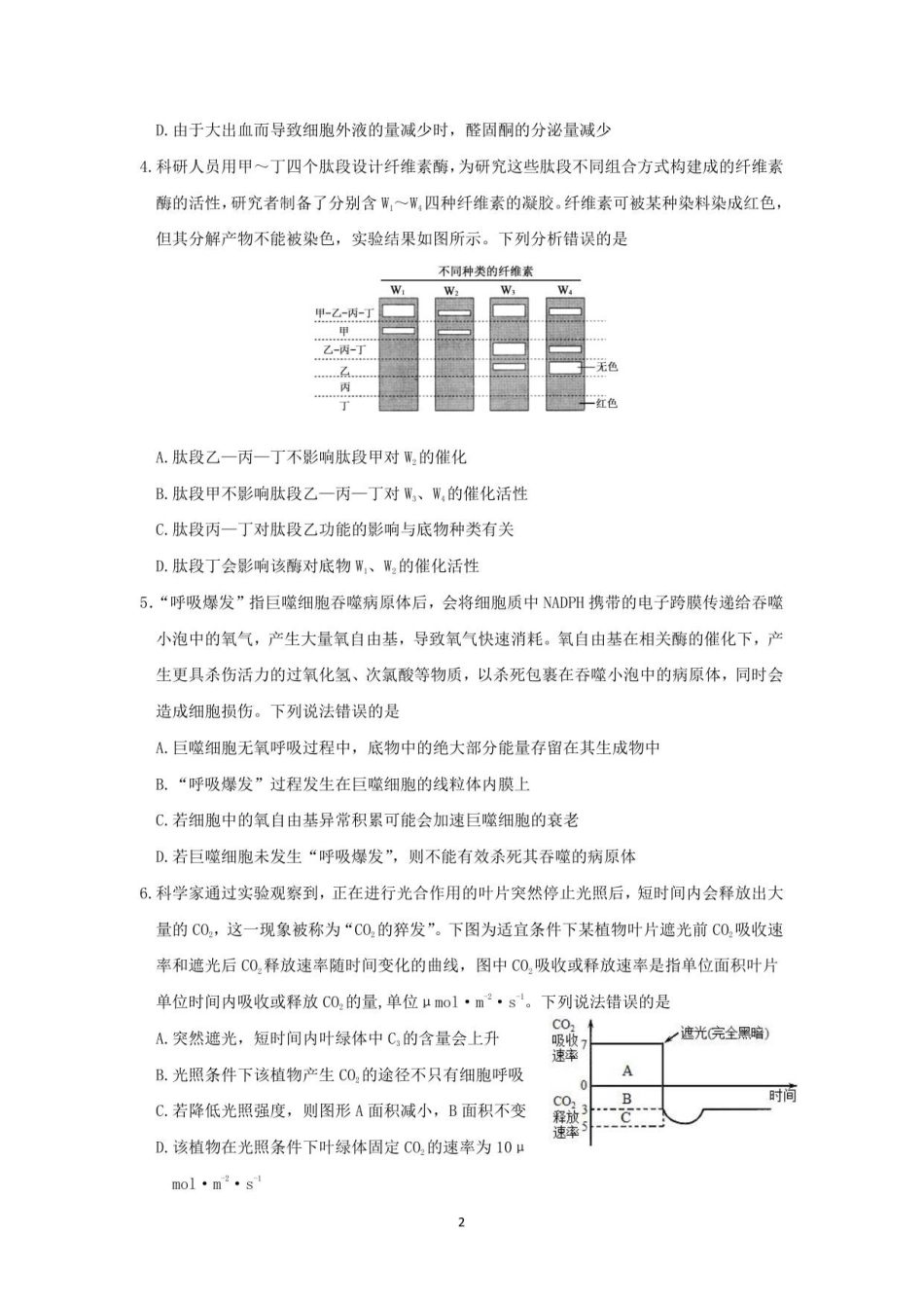 山东师范大学附属中学2025-2026学年高三上学期11月期中考试生物试题.pdf_第2页
