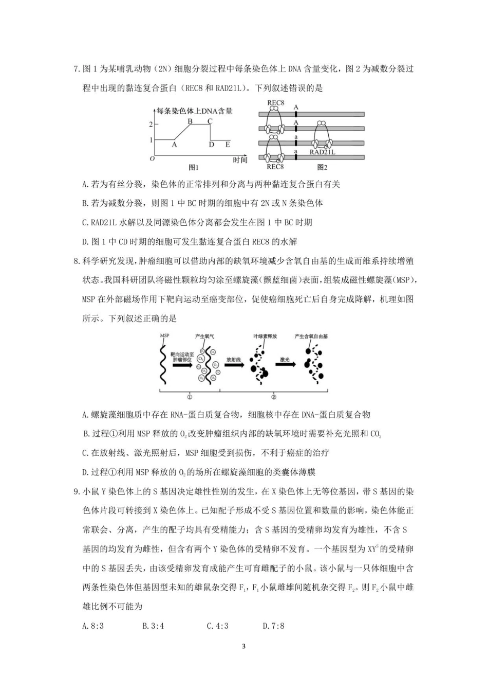 山东师范大学附属中学2025-2026学年高三上学期11月期中考试生物试题.pdf_第3页