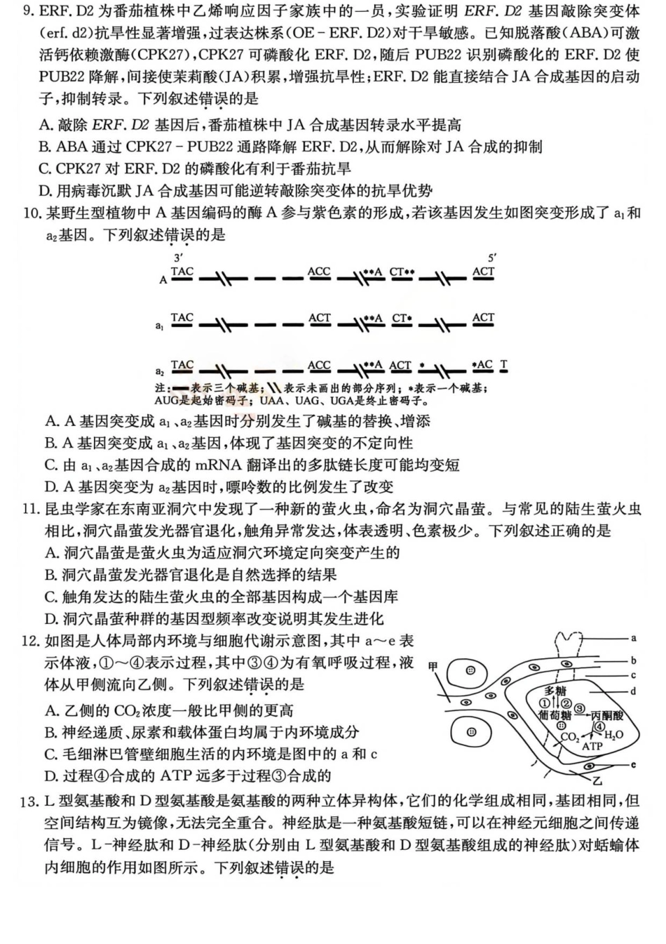 山西省部分学校2025-2026学年高三上学期12月月考生物试题.pdf_第3页