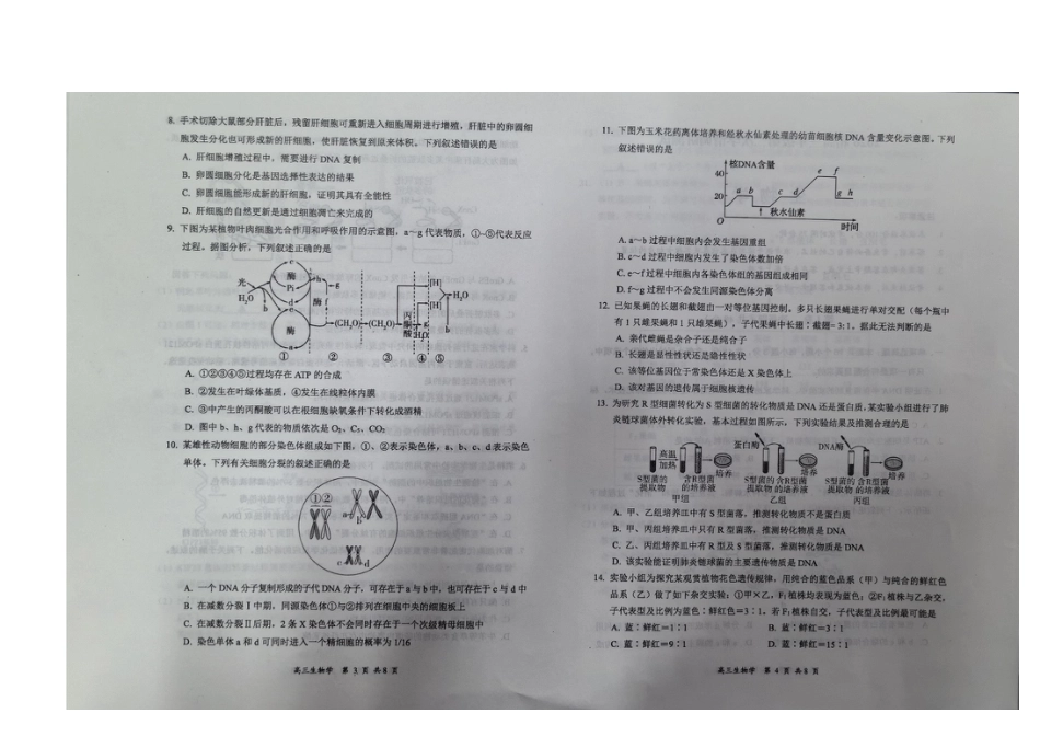 山西省大同市2025-2026学年高三上学期第二次学情调研测试生物试题（含答案）_生物.docx_第2页