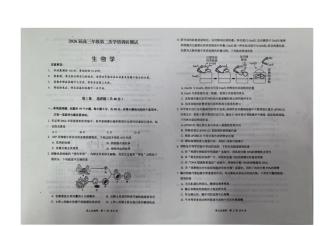 山西省大同市2025-2026学年高三上学期第二次学情调研测试生物试题（含答案）_生物.docx