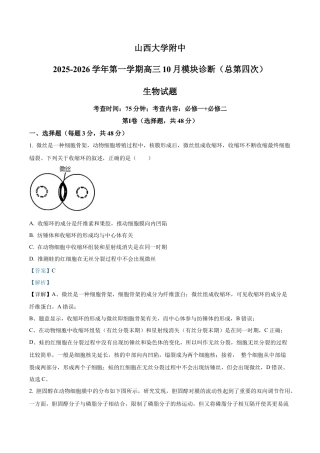 山西省太原市山西大学附属中学2025-2026学年高三上学期10月考试生物试题（解析版）.docx