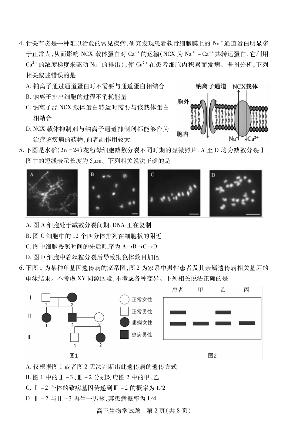 山西省运城市2026第一学期期中调研测试生物_高三生物.pdf_第2页