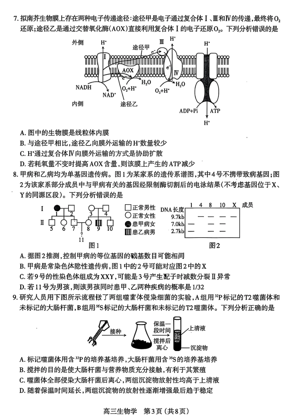 山西太原2025-2026学年第一学期高三年级期中学业诊断生物_生物试卷.pdf_第3页