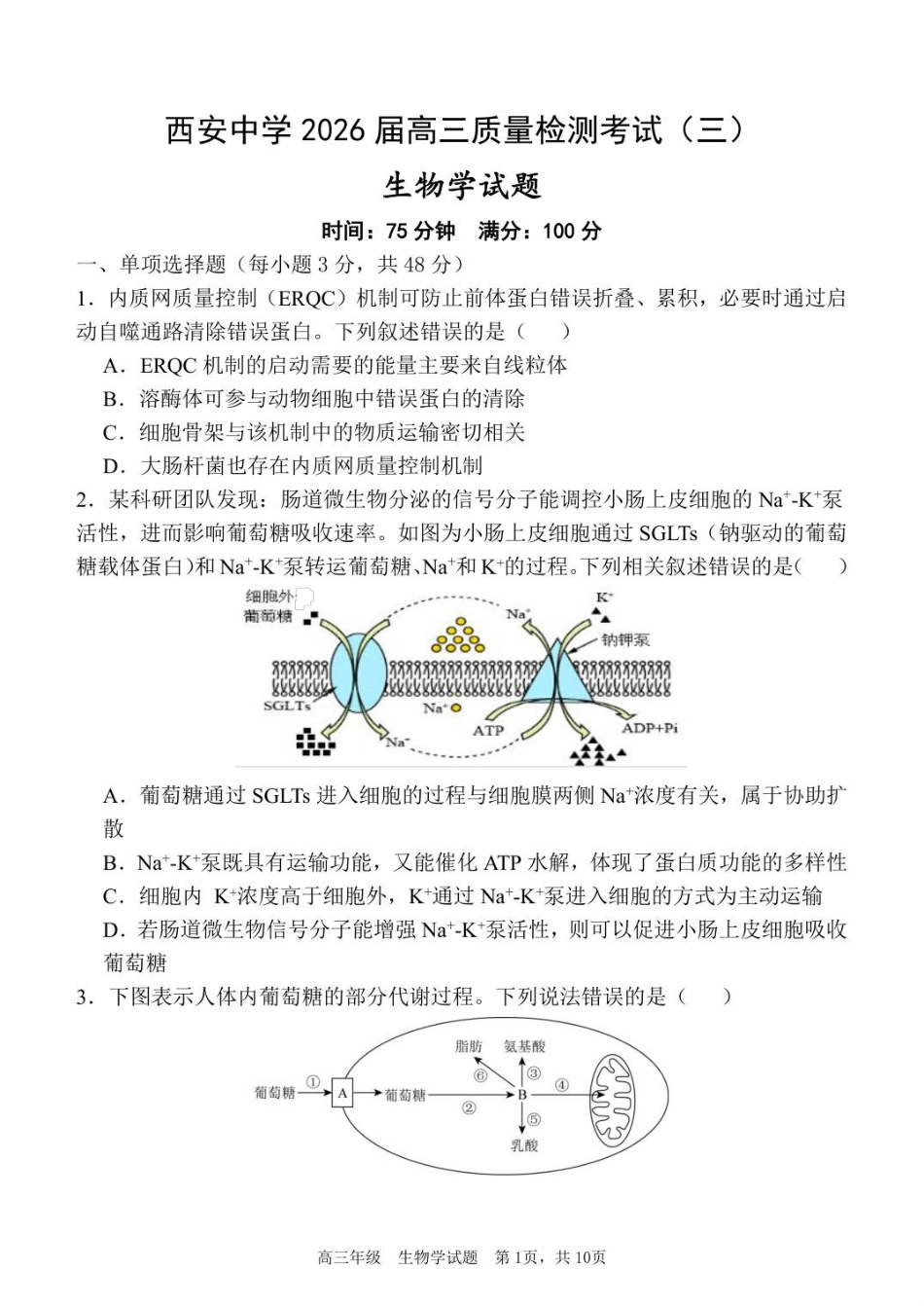 陕西省西安中学2025-2026学年高三上学期质量检测生物试卷（三）（含答案）_质量检测（三）生物试题.pdf_第1页