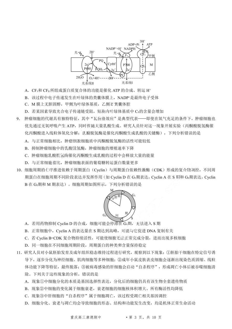 生物+答案-2025年秋康德高三11月调研测试试题卷.pdf_第3页