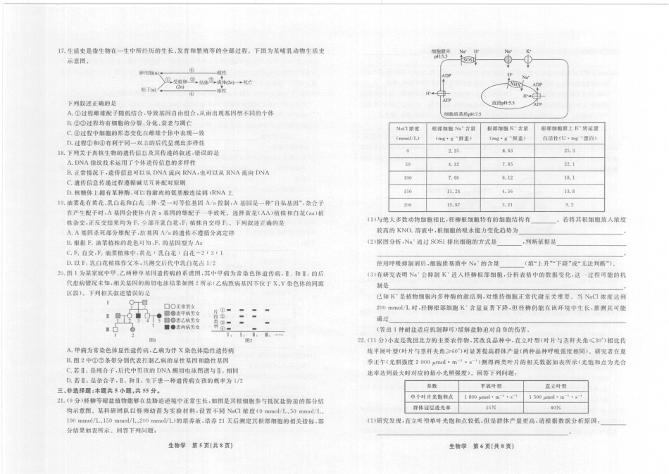 生物2025年辽宁名校联盟高三10月联考正文（8k）.pdf_第3页