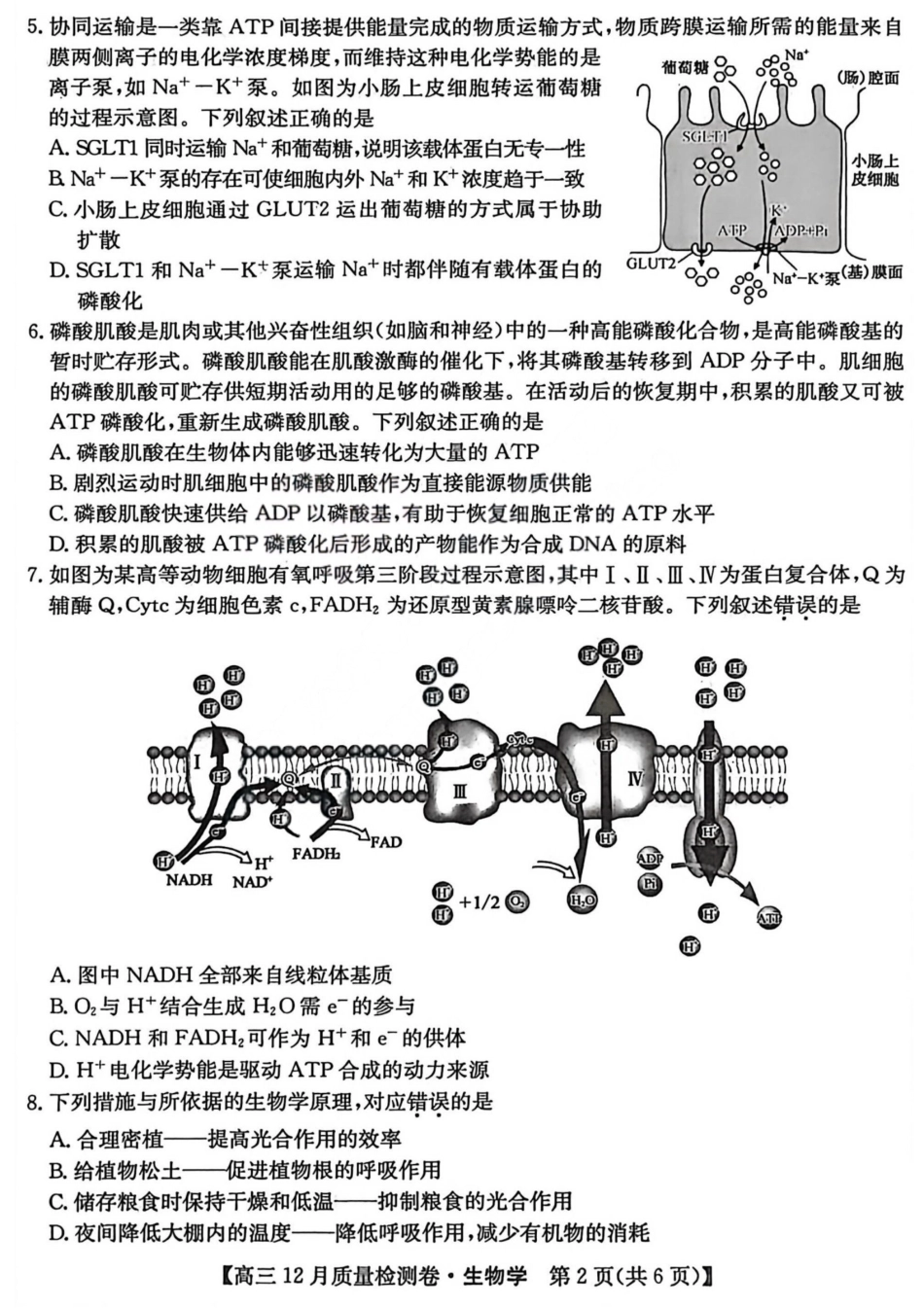 生物-山西三晋卓越联盟2025-2026学年高三12月质量检测.pdf_第2页