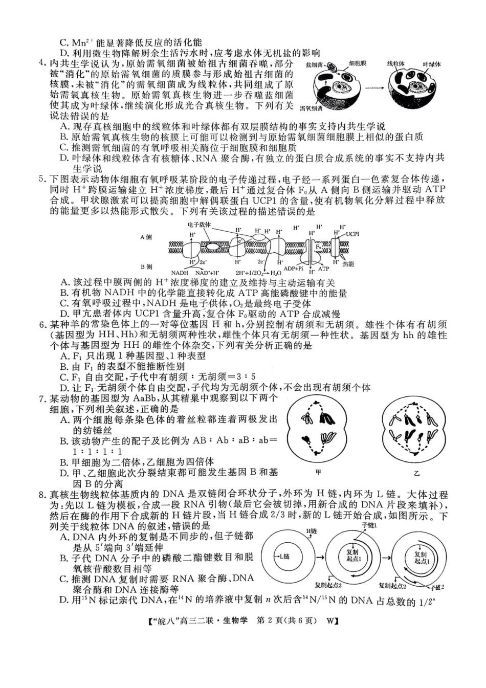 生物试卷-2026届安徽省“皖南八校”高三第二次大联考.pdf_第2页