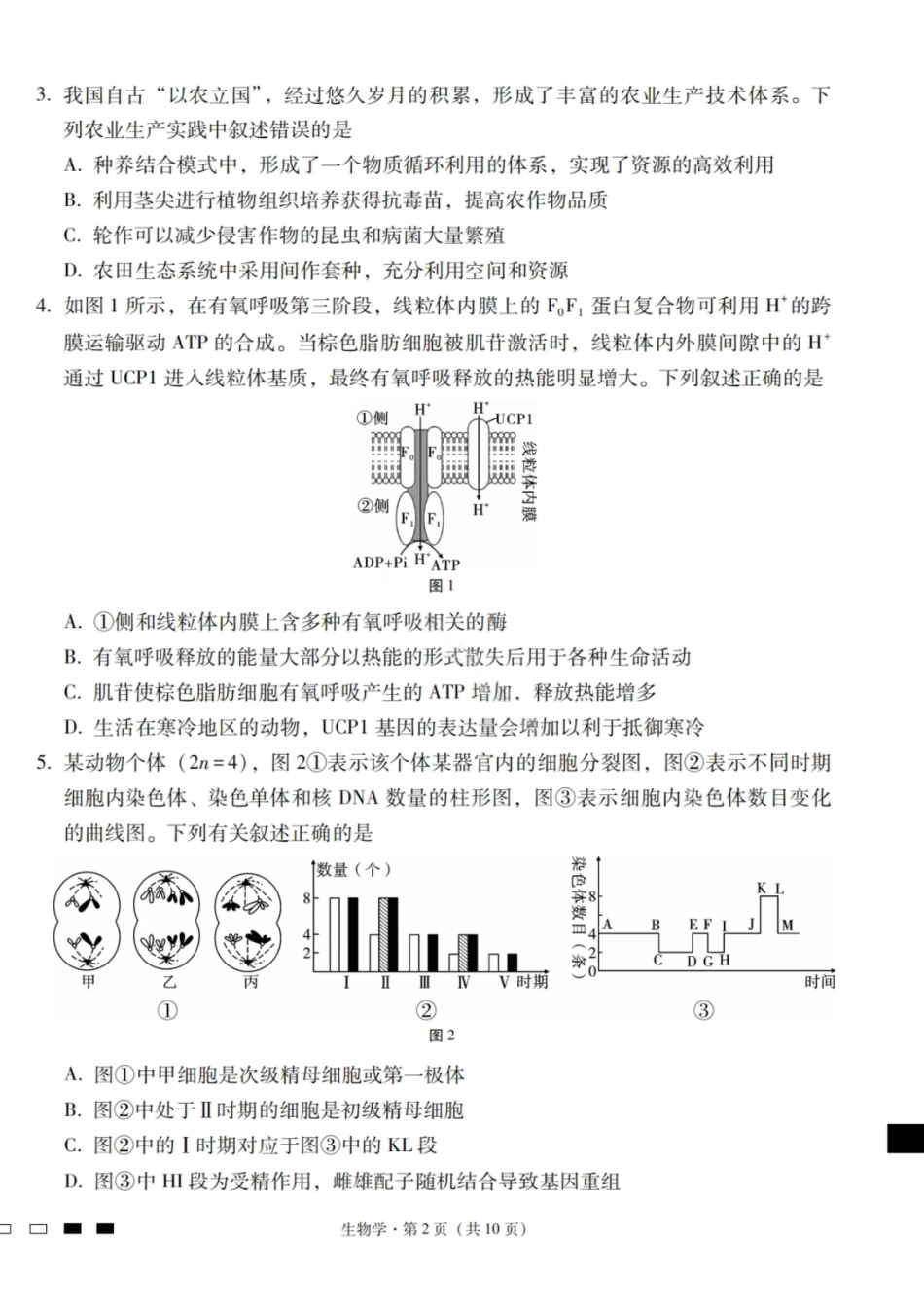生物试卷-2026届云南三校高考备考实用性联考卷（四）.pdf_第2页