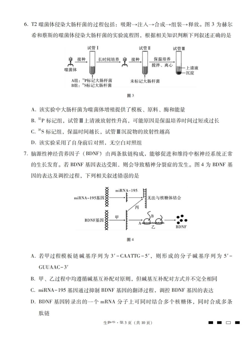 生物试卷-2026届云南三校高考备考实用性联考卷（四）.pdf_第3页