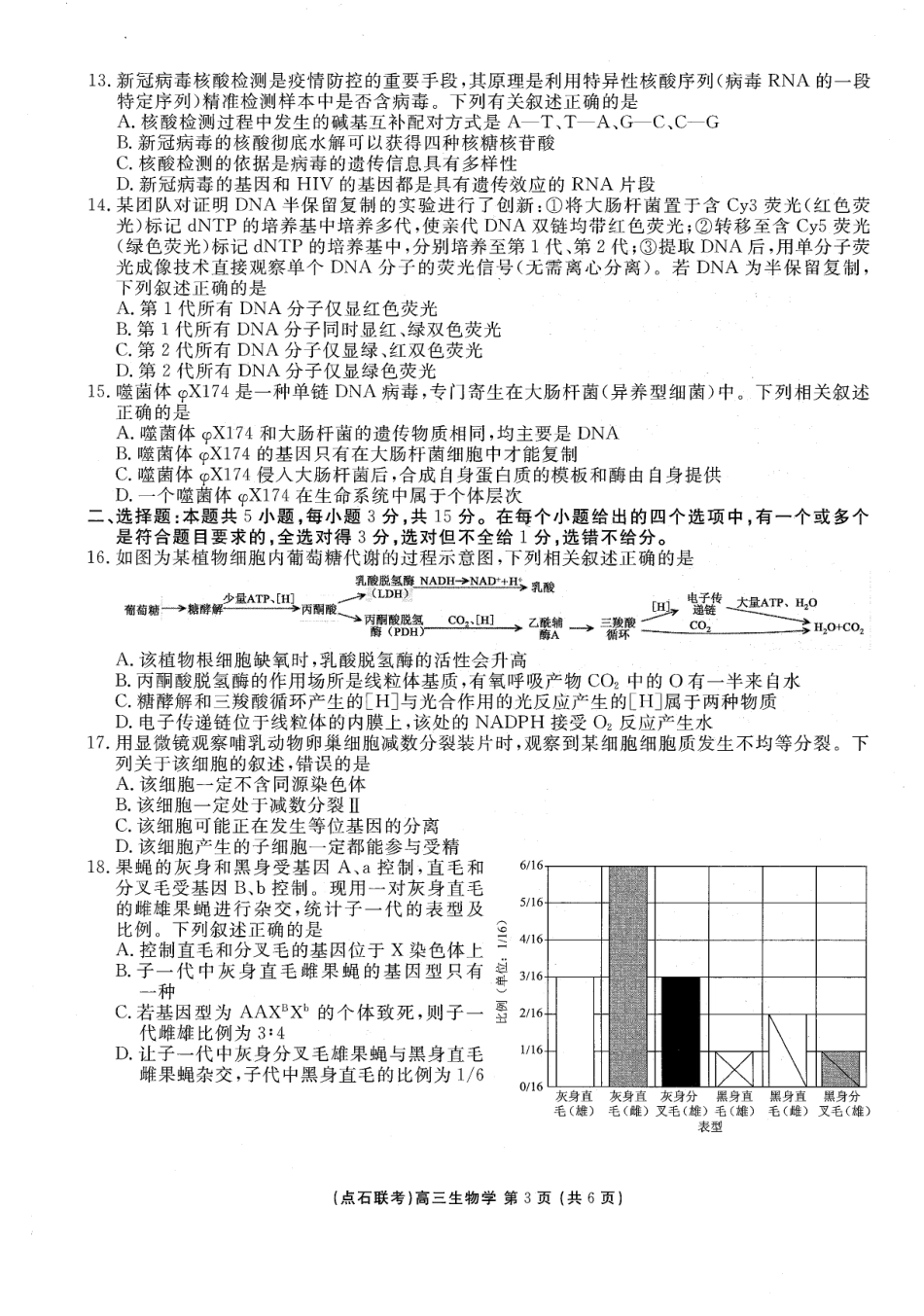 生物试卷-辽宁点石联考2025-2026学年高三10月联合考试.pdf_第3页