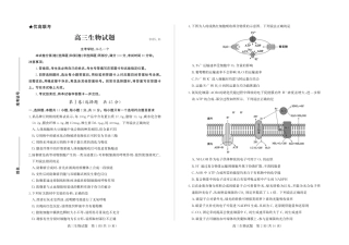 生物试卷-山东省德州市（优高联考）2026届高三年级期中上学期教学质量检测考试(11.12-11.14).pdf
