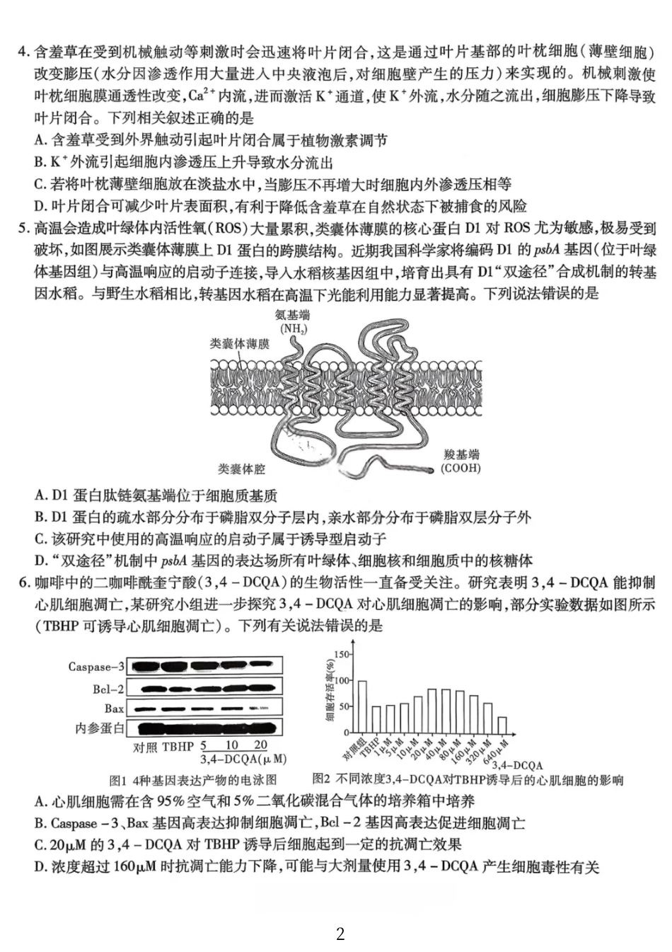 生物试卷-重庆市南开中学高2026届高三第四次质量检测.pdf_第2页