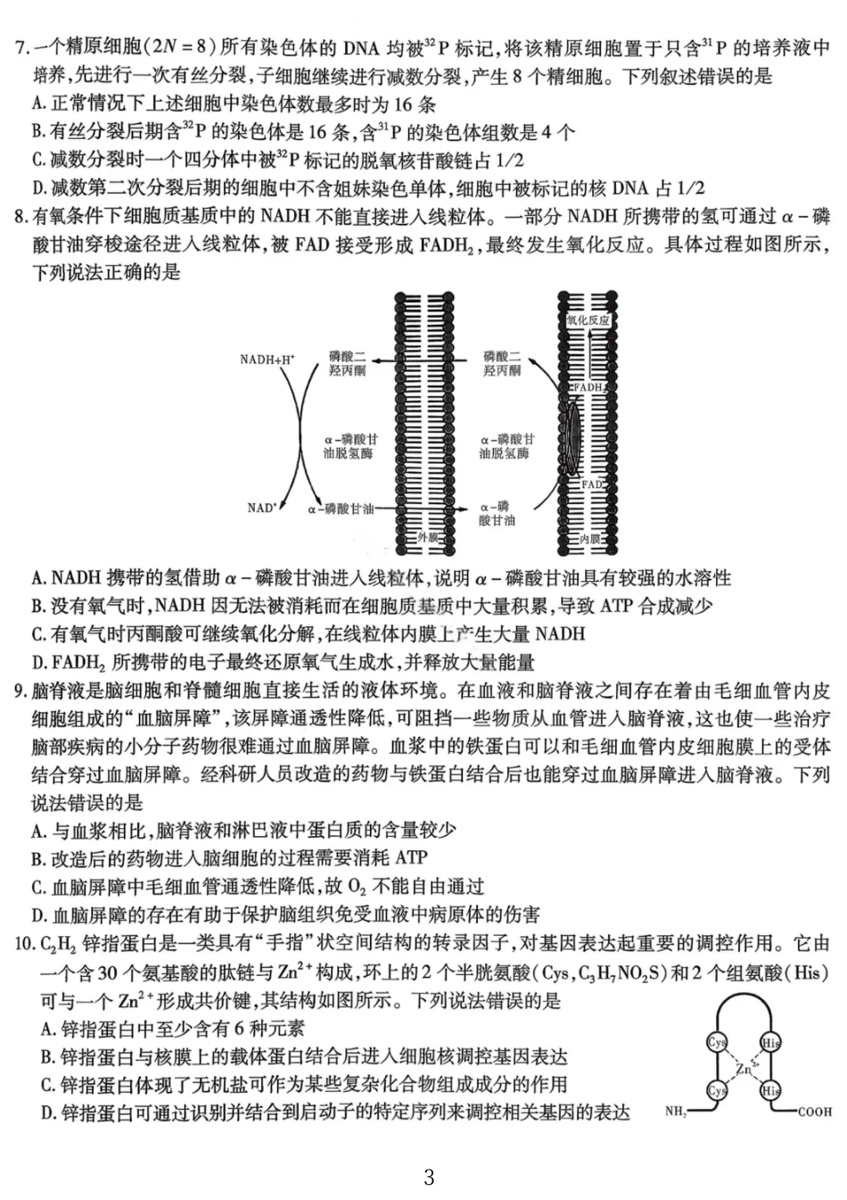 生物试卷-重庆市南开中学高2026届高三第四次质量检测.pdf_第3页