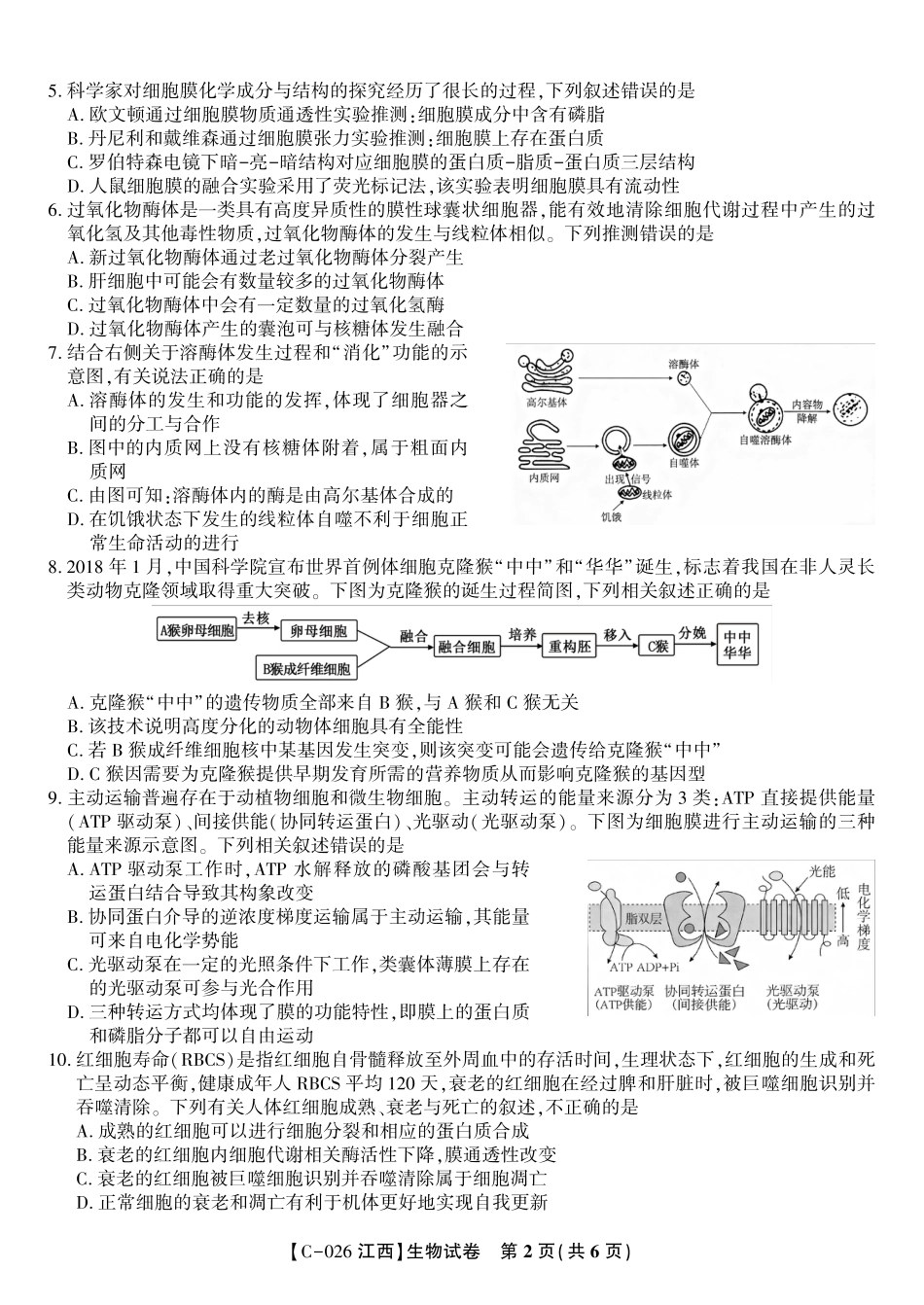 生物试题·江西省九江市十一校2026届高三年级第一次联考.pdf_第2页