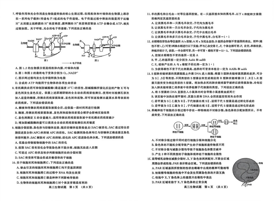 生物试题-山东名校考试联盟2025年10月高三年级阶段性检测.pdf_第2页