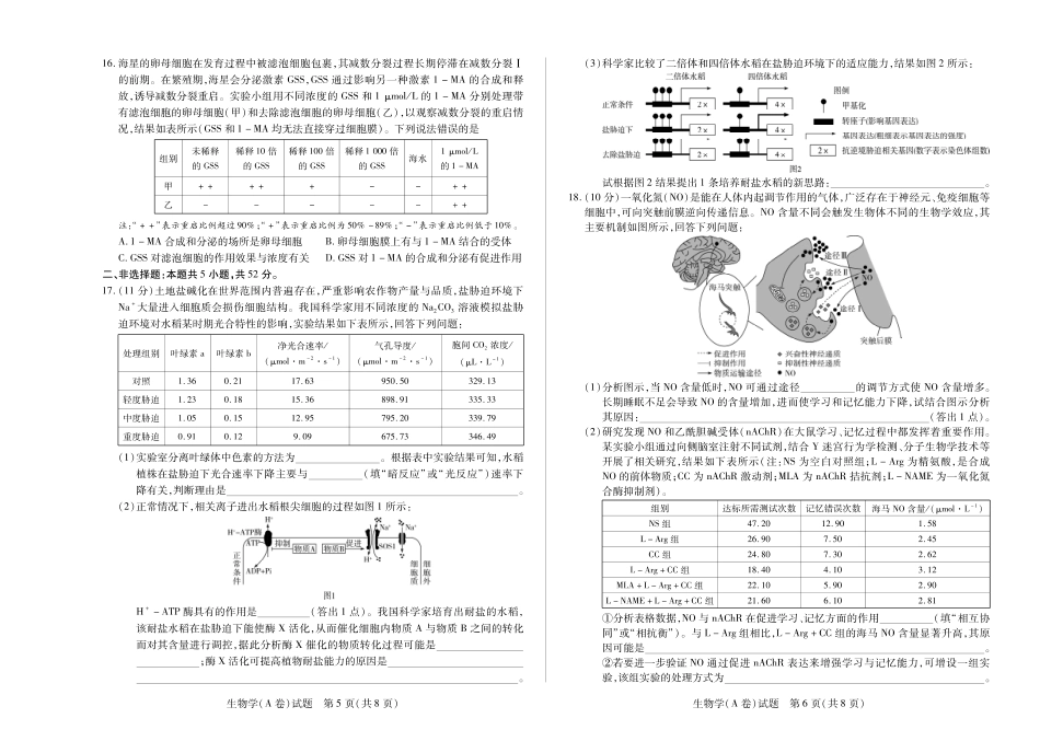 生物学A卷 天一大联考·河南省2025-2026学年（上）高三年级顶尖计划（二）.pdf_第3页