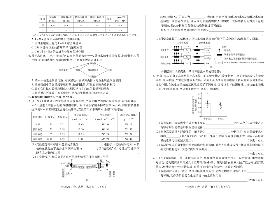 生物学B卷 天一大联考·河南省2025-2026学年（上）高三年级顶尖计划（二）.pdf_第3页