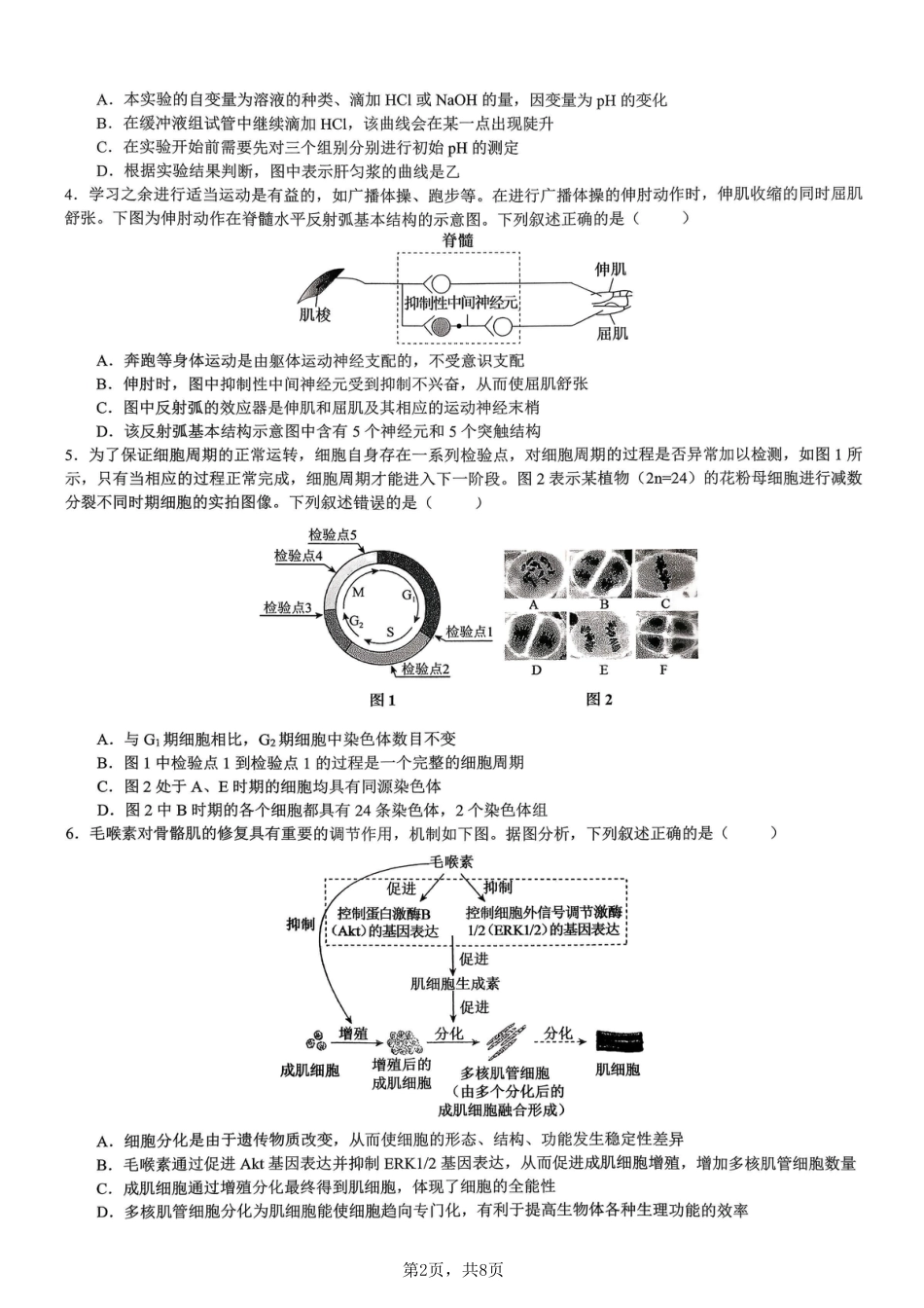 生物育才中学25-26学年上高三12月月考试卷.pdf_第2页