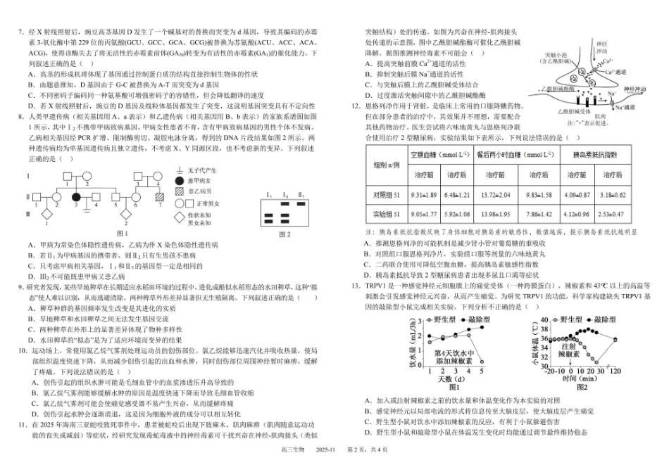 树德中学高2023级高三上学期11月阶段测试生物.pdf_第2页