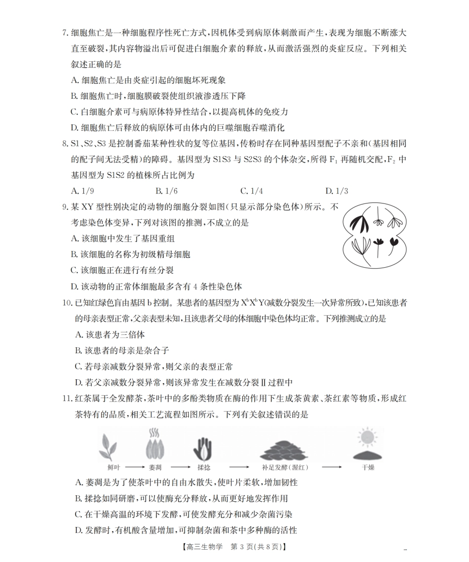 四川省2026届高三上学期10月联考（26-38C）生物.pdf_第3页