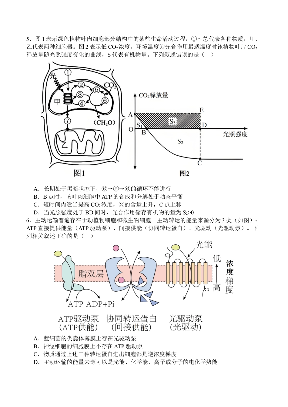 四川省广安中学2025-2026学年高三上学期9月月考生物试题（有答案）_生物.docx_第2页