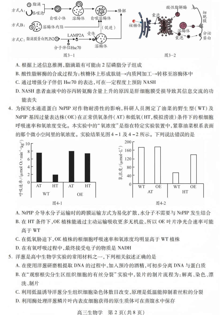 四川省乐山市高中2026届高三上学期第一次调查研究考试生物试题（含答案）_生物试卷.pdf_第2页