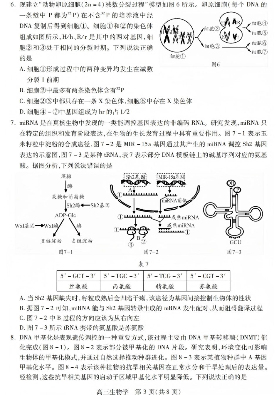 四川省乐山市高中2026届高三上学期第一次调查研究考试生物试题（含答案）_生物试卷.pdf_第3页