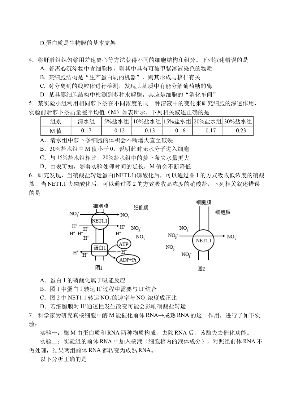 四川省遂宁市射洪中学2026届高三上学期期中考试  生物  Word版含答案_生物.docx_第2页