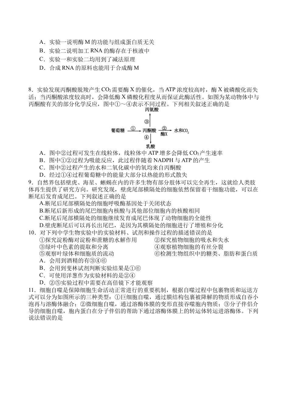 四川省遂宁市射洪中学2026届高三上学期期中考试  生物  Word版含答案_生物.docx_第3页