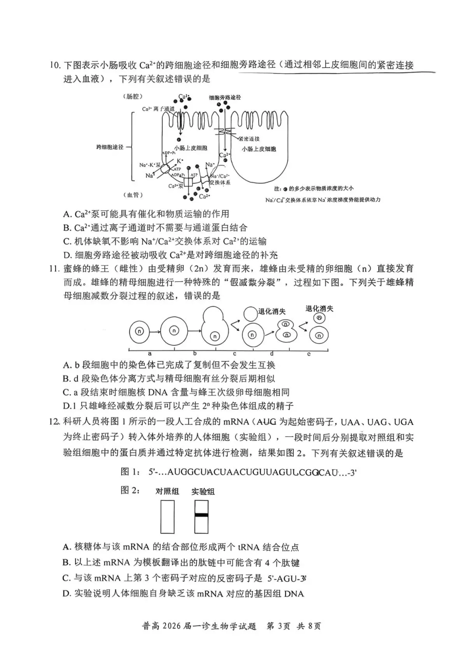 四川省自贡市普高2026届第一次诊断性考试生物.pdf_第3页
