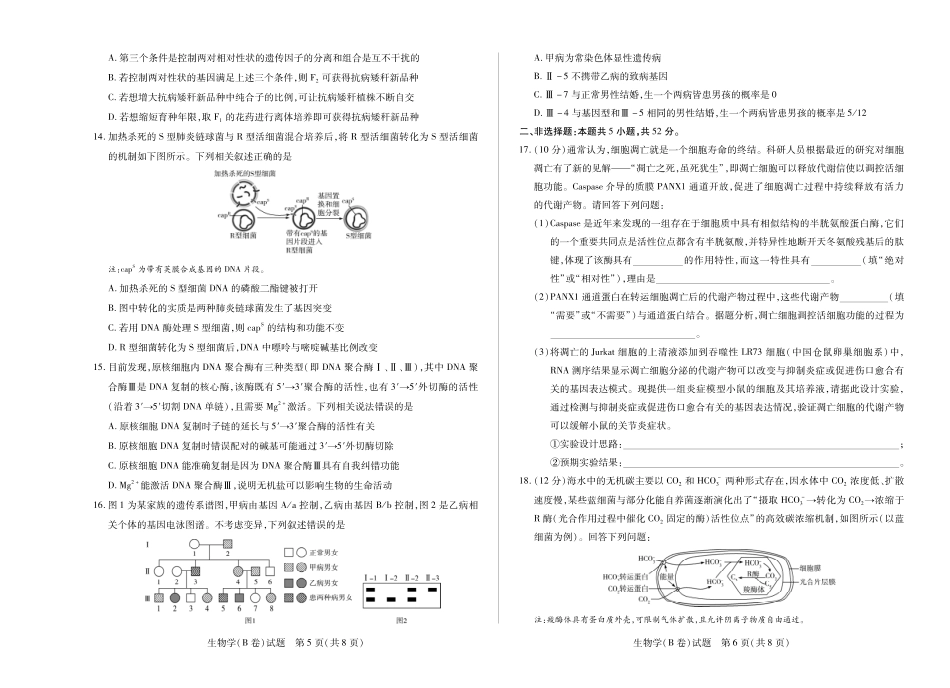 天一大联考·2025-2026学年（上）高三年级天一小高考（二）生物(B卷).pdf_第3页