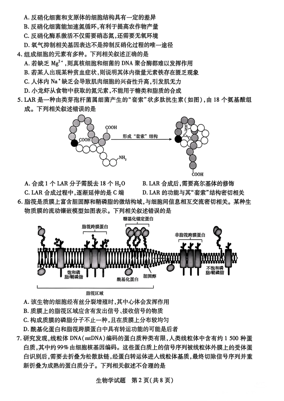 天一大联考26届高三生物10月联考试卷.pdf_第2页