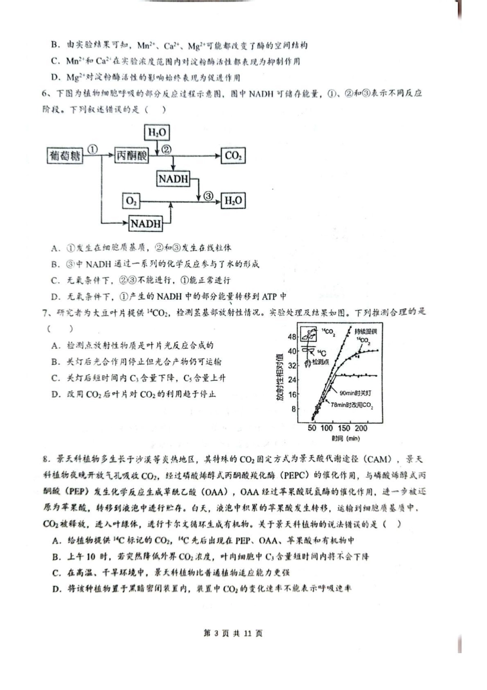 乌鲁木齐市第一中学2025--2026学年第一学期2026届高三年级第二次月考生物.pdf_第3页