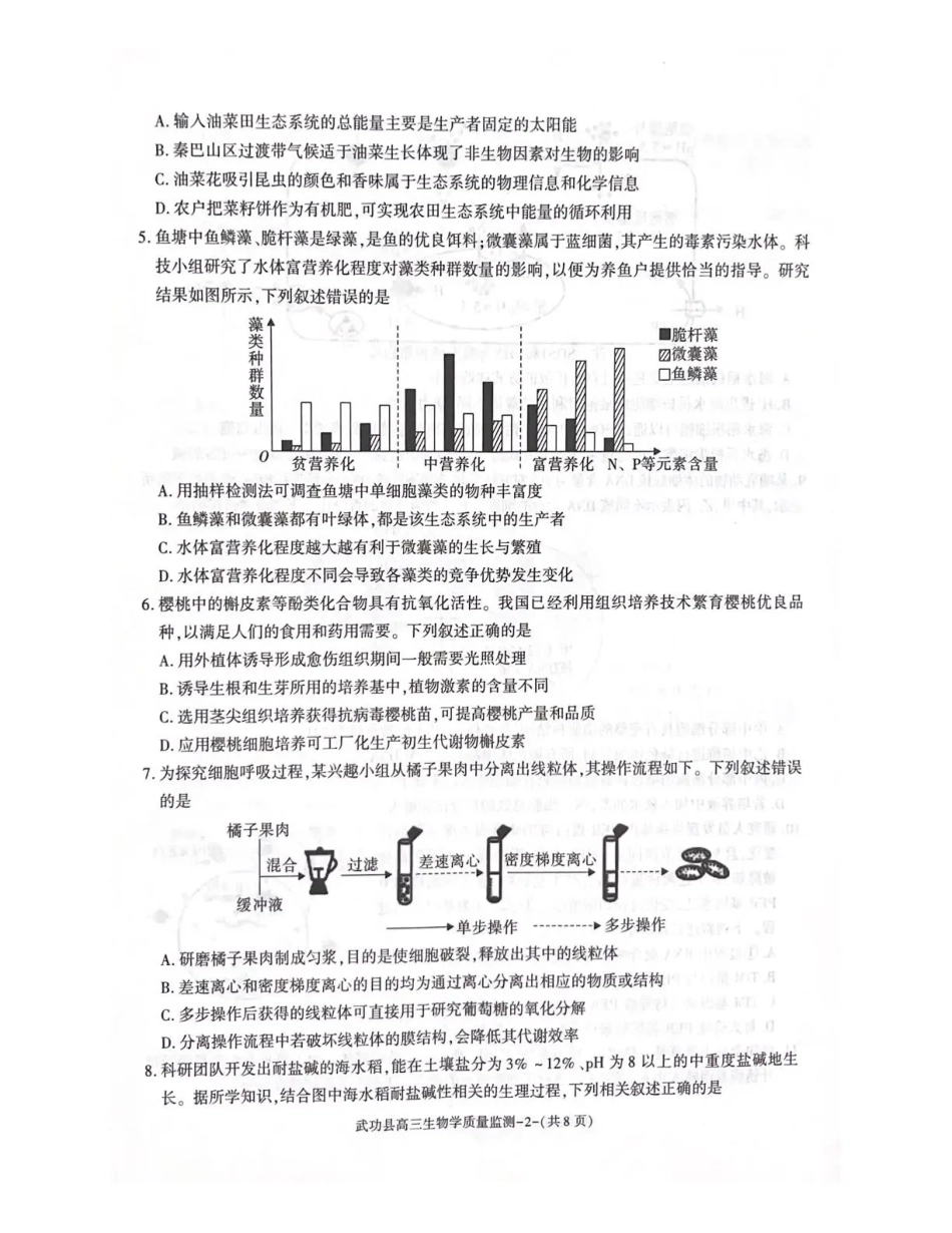 武功县2026届11月高三质量监测生物.pdf_第2页