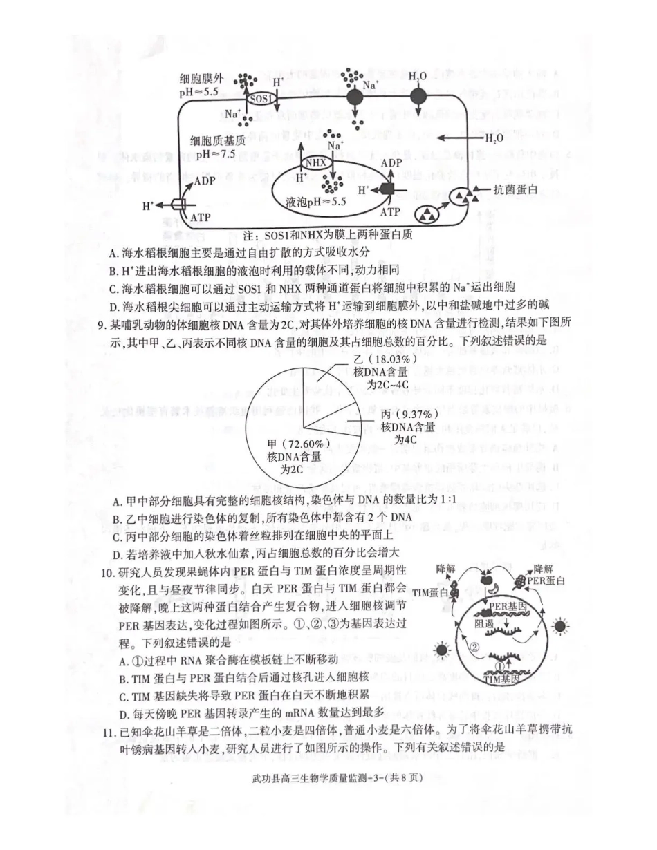 武功县2026届11月高三质量监测生物.pdf_第3页