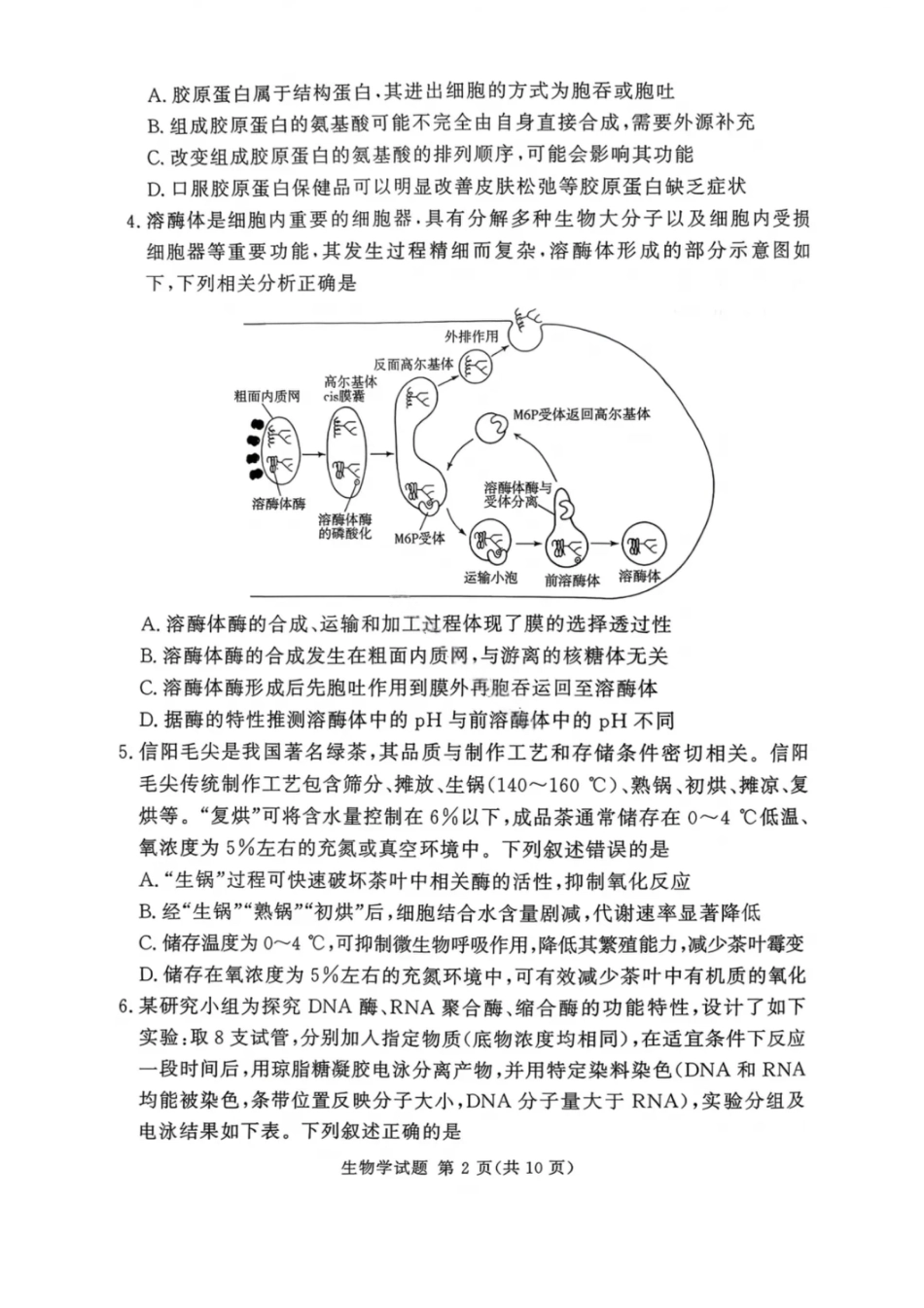 湘豫名校联考2025年11月高三一轮复习诊断考试生物.pdf_第2页