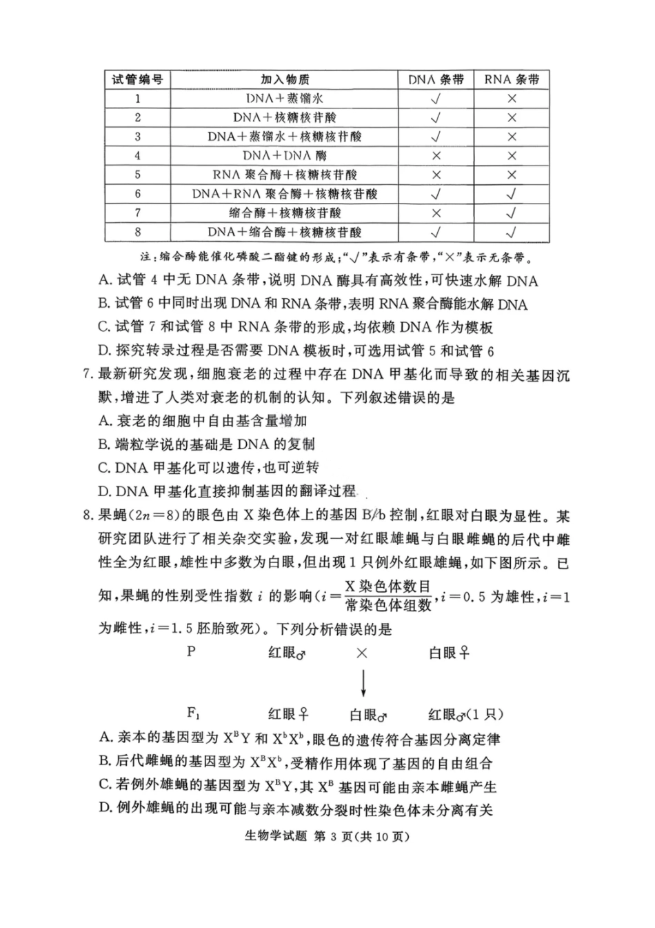 湘豫名校联考2025年11月高三一轮复习诊断考试生物.pdf_第3页