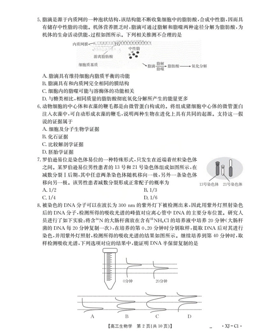 新疆多校2026届高三上学期11月联考（XJ）生物.pdf_第2页