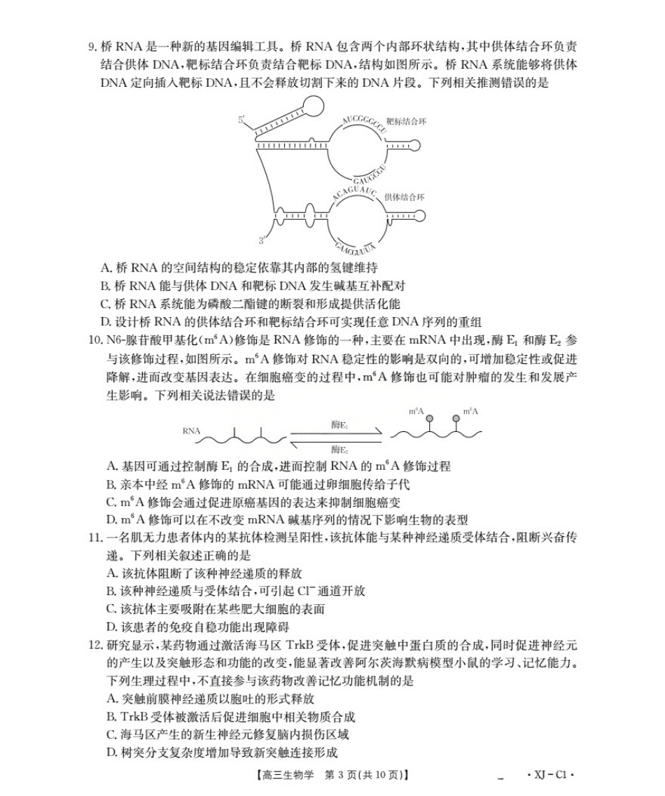 新疆多校2026届高三上学期11月联考（XJ）生物.pdf_第3页