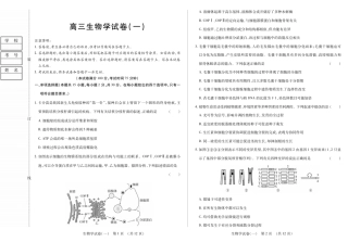 新时代高中教育联合体2025年11月高三学年期中联考巩固卷（一）生物.pdf