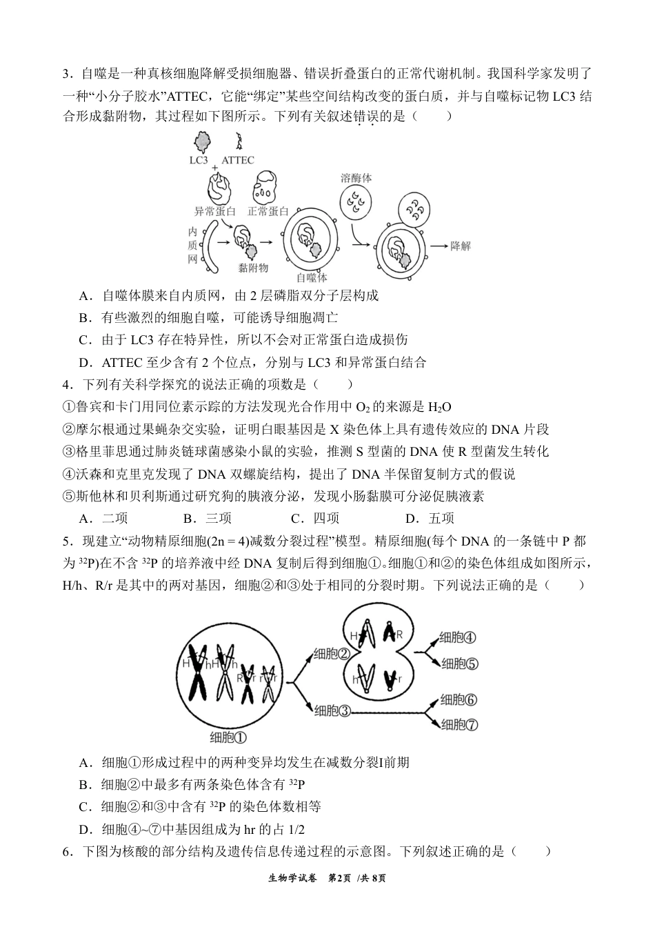 云南省曲靖市第一中学2025-2026学年高三上学期11月期中_生物试卷（G3）+曲靖一中期中考试2025.pdf_第2页