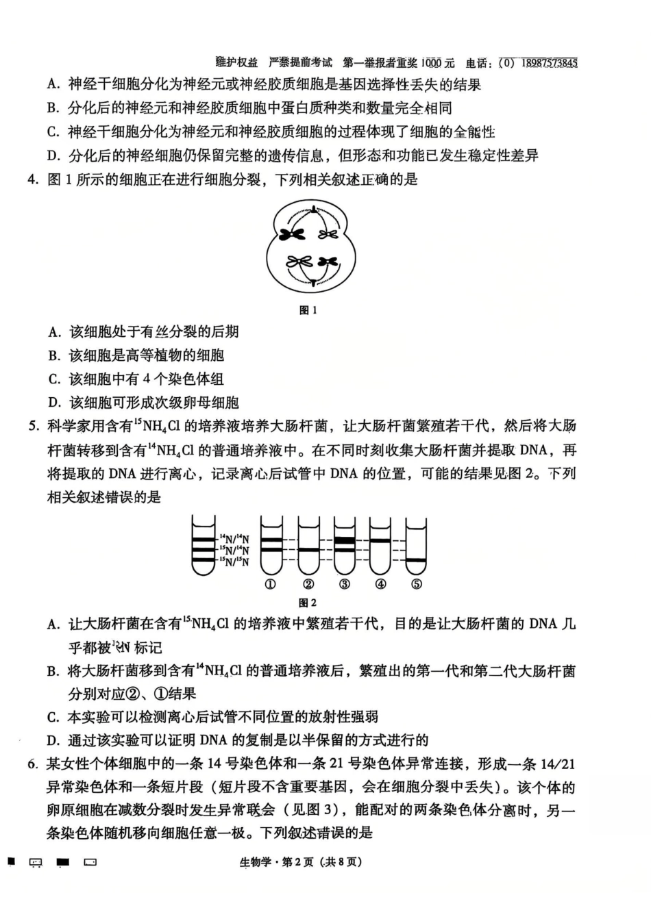 云南师大附中2026届高考适应性月考卷（五）生物.pdf_第2页