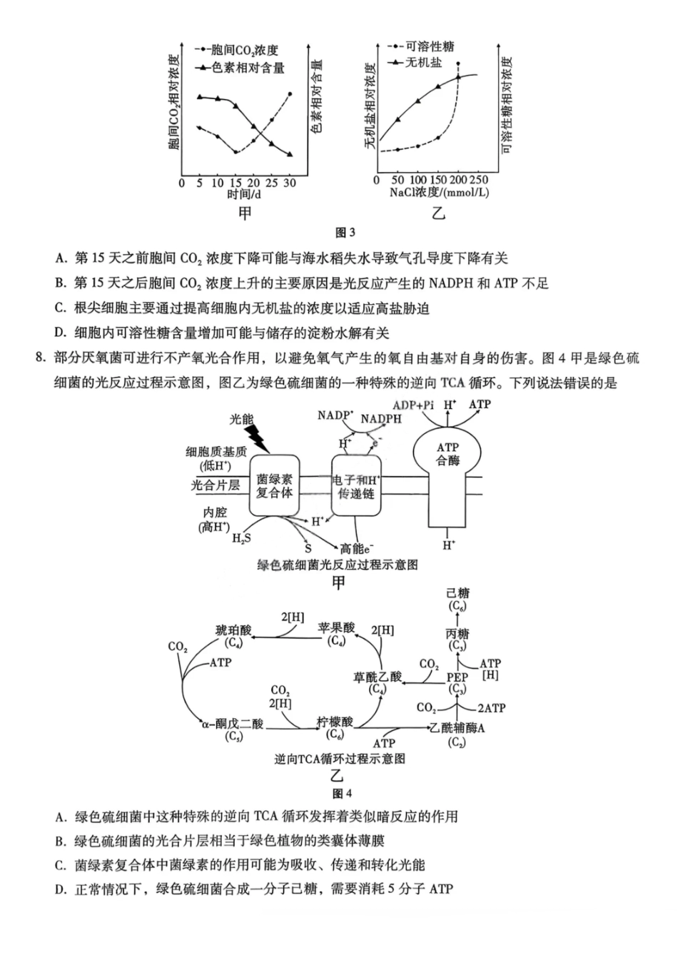 重庆巴蜀中学2026届高三10月高考适应性月考卷（三）生物.pdf_第3页
