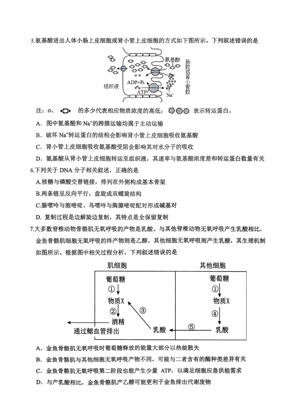 重庆九龙坡高2026届高三第一学期期中考试（全科）_高2026届高三第一学期期中考试生物.pdf_第2页