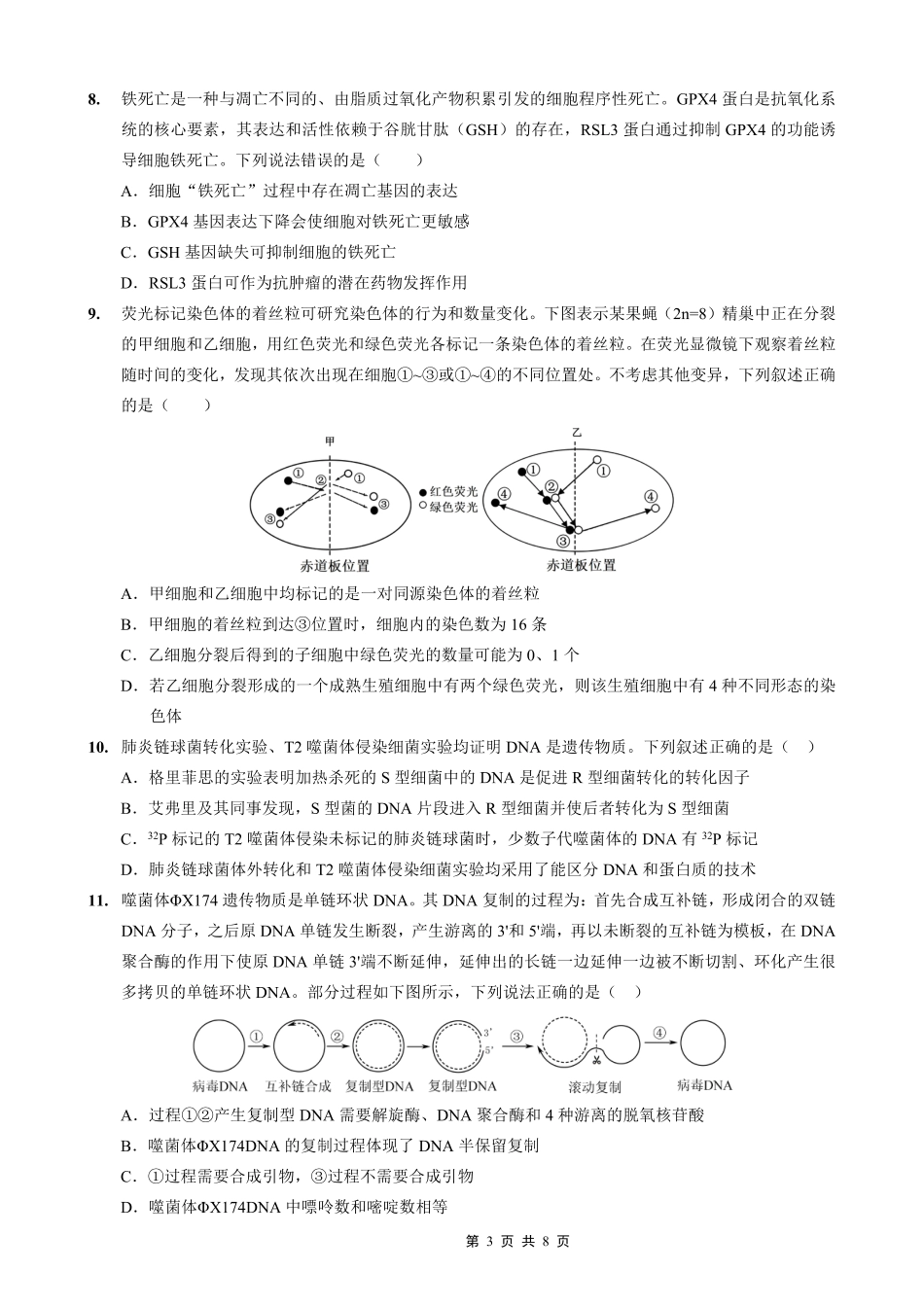 重庆实验外国语学校2025-2026学年度（上）高2026届10月月考（四）生物.pdf_第3页