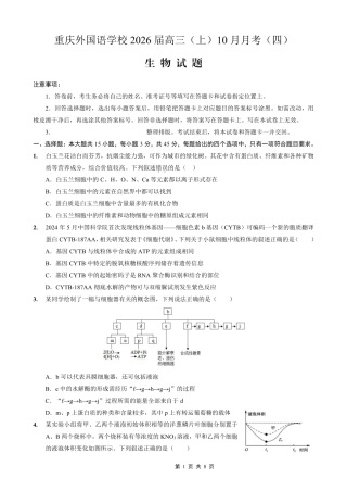 重庆实验外国语学校2025-2026学年度（上）高2026届10月月考（四）生物.pdf